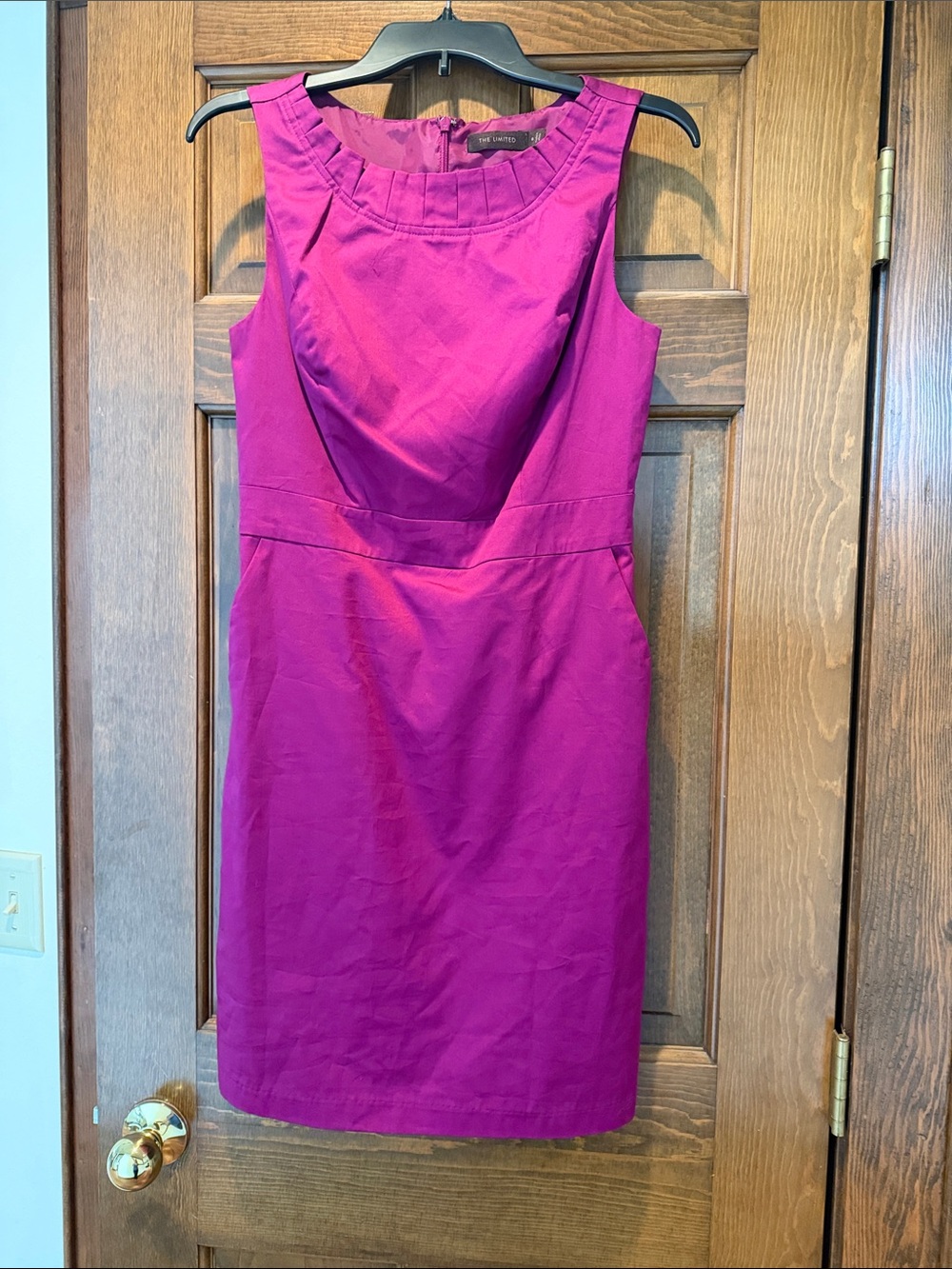 The Limited Sleeveless Magenta Sheath Dress
